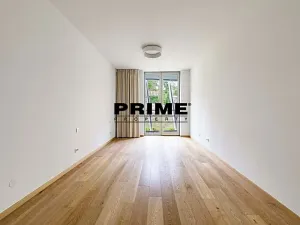 Pronájem bytu 4+kk, Praha - Smíchov, Holečkova, 174 m2