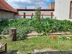 Pronájem bytu 2+kk, Bechyně, Soukenická, 39 m2