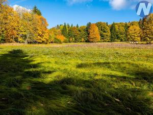 Prodej louky, Stožec, 6572 m2
