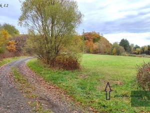 Prodej louky, Rokycany, K Lopatárně, 4651 m2