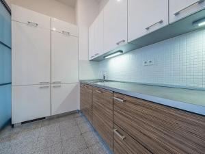 Pronájem bytu 4+1, Praha - Vinohrady, Na Švihance, 140 m2