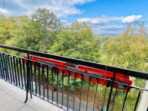 Prodej bytu 3+1, Karlovy Vary, Šumavská, 66 m2