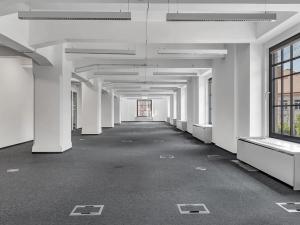 Pronájem kanceláře, Praha - Holešovice, Jankovcova, 226 m2
