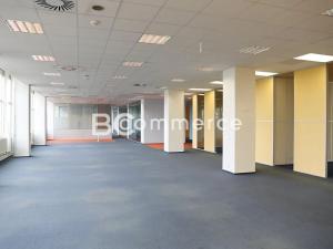 Pronájem kanceláře, Brno, Purkyňova, 700 m2