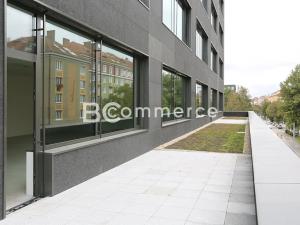 Pronájem kanceláře, Brno, 500 m2