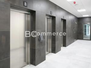 Pronájem kanceláře, Brno, 500 m2