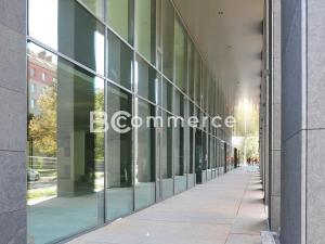 Pronájem kanceláře, Brno, 100 m2