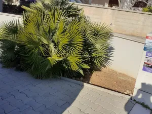 Prodej bytu 3+kk, Vir, Chorvatsko, 71 m2