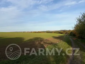 Prodej pole, Roztoky, 40596 m2