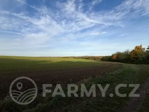 Prodej pole, Roztoky, 40596 m2