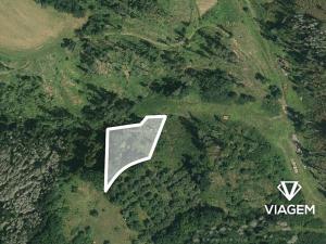 Prodej lesa, Obora, 2560 m2