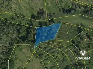 Prodej lesa, Obora, 2560 m2