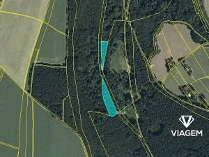 Prodej podílu lesa, Sudislav nad Orlicí, 2486 m2