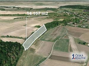 Prodej podílu lesa, Kochánky, 10625 m2