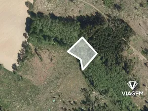 Prodej podílu lesa, Chýstovice, 669 m2