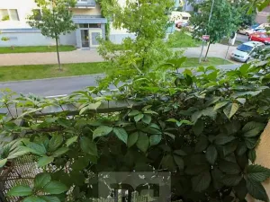 Pronájem bytu 1+kk, Praha - Hostivař, Rižská, 34 m2