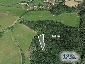 Prodej podílu lesa, Švihov, 220 m2