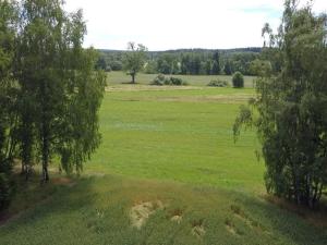 Dražba louky, Sobíňov, 7578 m2