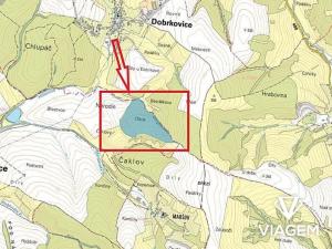 Prodej podílu lesa, Pašovice, 27921 m2