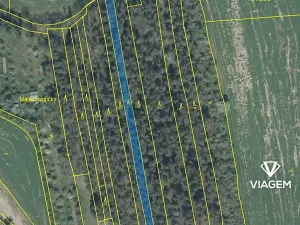 Prodej podílu lesa, Koloveč, 427 m2