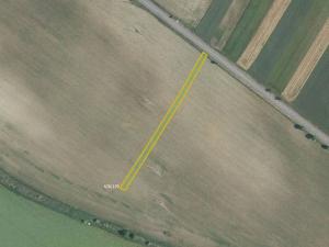 Prodej pole, Kuchařovice, 6602 m2