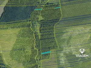 Prodej podílu lesa, Hradčovice, 985 m2