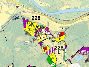 Dražba lesa, Rabí, 6042 m2