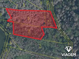 Prodej lesa, Slavičky, 3650 m2