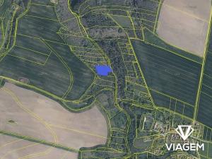 Prodej lesa, Slavičky, 3650 m2