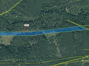 Dražba lesa, Jesenice, 12984 m2