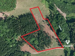 Prodej podílu lesa, Růžďka, 26737 m2
