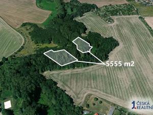 Prodej lesa, Praha, 5555 m2