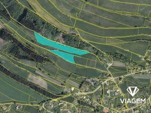 Prodej pole, Vysoká Srbská, 21336 m2