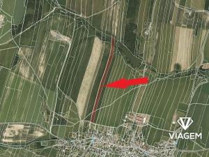 Prodej podílu pole, Melč, 7703 m2