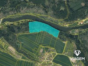 Prodej lesa, Bečice, 36578 m2