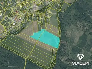 Prodej podílu pole, Mikolajice, 5659 m2