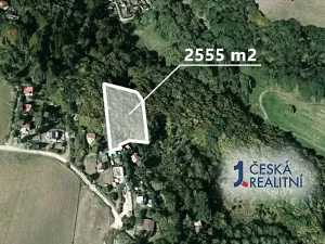 Prodej lesa, Chyňava, 2555 m2
