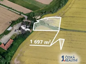 Prodej podílu pole, Golčův Jeníkov, 565 m2