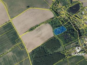 Prodej lesa, Hrobčice, 3018 m2