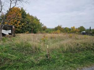 Dražba zahrady, Brno, 1156 m2