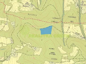 Prodej lesa, Růžďka, 21209 m2