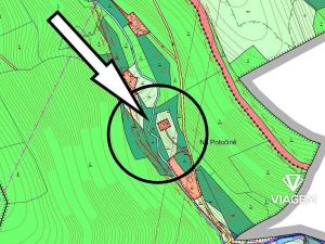 Prodej lesa, Všelibice, 4954 m2