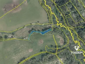 Prodej pole, Dolní Žandov, 1924 m2