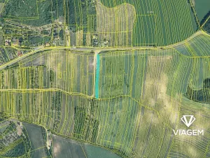 Prodej podílu pole, Strážovice, 329 m2