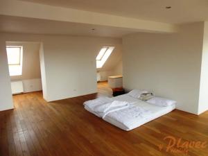 Pronájem bytu 2+kk, Praha - Bubeneč, Národní obrany, 126 m2