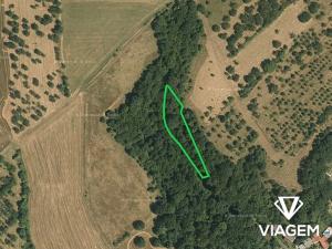 Prodej podílu pole, Veselíčko, 510 m2