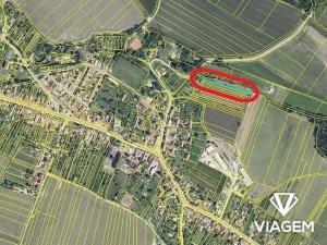 Prodej zahrady, Vysoké Popovice, 861 m2