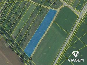 Prodej podílu pole, Moravský Písek, 126 m2