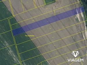 Prodej podílu pole, Běstvina, 558 m2