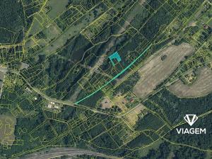 Prodej lesa, Doubrava, 2786 m2